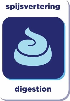 Renske Adult Kalkoen & Eend - Hondenvoer - 2 Kg -Hondenbenodigdheden 834x1200 1