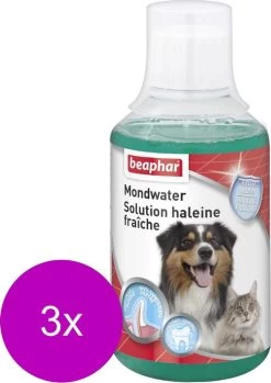 Beaphar Mondwater Hond/Kat - Gebitsverzorging - 3 X 250 Ml -Hondenbenodigdheden 850x1200 6