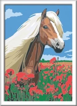 Ravensburger Schilder Op Nummer 3in1 Set Dieren 8 Ravensburger Schilder Op Nummer 3in1 Set Dieren -Hondenbenodigdheden 868x1200 4