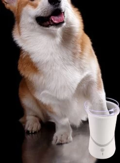 Hondenpoten Reiniger - Wasser - Hond – Pet Paw Washer – Hondenborstel – Honden Borstel - Verzorging 17 Hondenpoten Reiniger - Wasser - Hond – Pet Paw Washer – Hondenborstel – Honden Borstel - Verzorging -Hondenbenodigdheden 884x1200