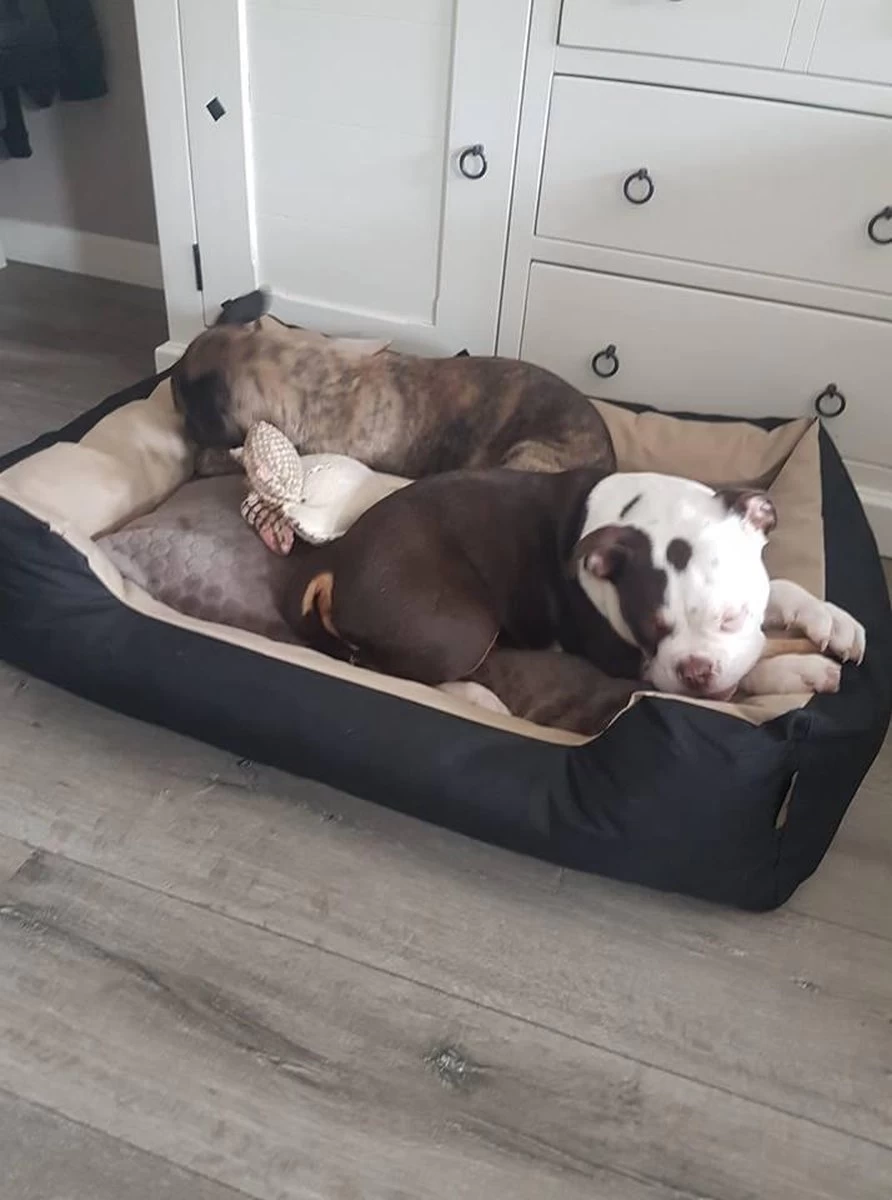 Hondenmand Cordura XXXL – Donkergrijs - 125 X 90 X 24 Cm 10 Hondenmand Cordura XXXL – Donkergrijs - 125 X 90 X 24 Cm - Afbeelding 8