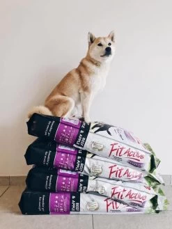 Fit Active Everyday Premium – Hondenvoer Voor Volwassen Honden Van Middelgrote Tot Grote Rassen - Premium Hondenbrokken Op Basis Van Kip/rund Smaak - 15kg -Hondenbenodigdheden 900x1200 30