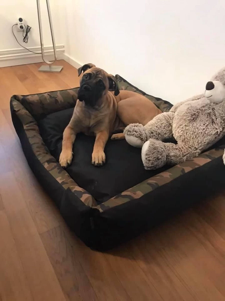 Hondenmand Cordura XXXL – Donkergrijs - 125 X 90 X 24 Cm 7 Hondenmand Cordura XXXL – Donkergrijs - 125 X 90 X 24 Cm - Afbeelding 5