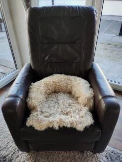 Kussen Voor Kat Of Kleine Hond | Fluffy Dierenkussen Van Pluche | Kat | Bank | Mand | Kattenmand | Kattendeken & Bankbeschermer Max. 15 Kg | Beige | Maat XS -Hondenbenodigdheden 900x1200 35