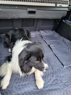 Luxe Hondendeken 200 X 150 Cm Auto Achterbank Kofferbak Vuilafstotend & Beschermend -Hondenbenodigdheden 900x1200 42