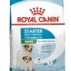 Royal Canin Mini Starter Mother & Babydog - Puppy-Hondenvoer - 8 Kg -Hondenbenodigdheden 910x1200