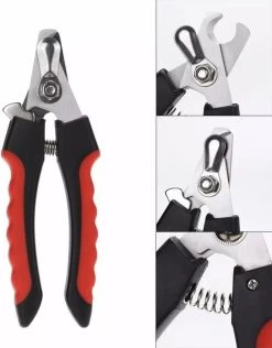 Nagelschaar Voor Dieren- Nagelknipper- Kat- Hond- Vogel Nagelschaartje - Huisdieren - Nail Clipper- Nail Cutter -Hondenbenodigdheden 938x1200 1