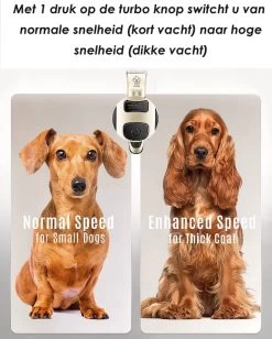 Joyage Professionele Hondentondeuse Voor Dikke Vacht – Honden Tondeuse & Hondentrimmer Tondeuse – Stille Tondeuse Katten & Honden Trimset Lang Haar – Trimmer Hond - Hondentondeuse Draadloos - Tondeuse Voor Honden - Tondeuse Hond Dikke Vacht -Hondenbenodigdheden 962x1200 3