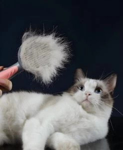 Pakeway T9 - Kattenborstel - Zelfreinigende Kattenkam - Groen - Massageborstel - 19,3 Cm -Hondenbenodigdheden 983x1200